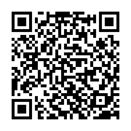 QR code for INI318