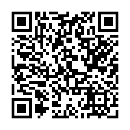 QR code for INP339