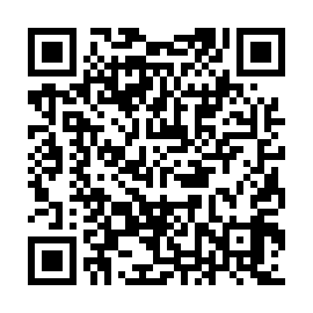 QR code for INS519