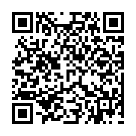 QR code for INS811