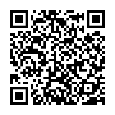 QR code for ION509