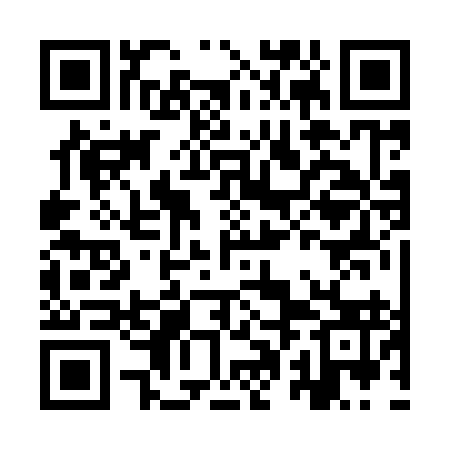 QR code for IPB993