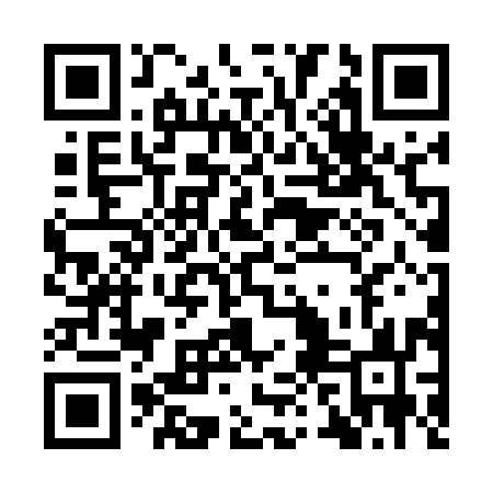QR code for IPF593