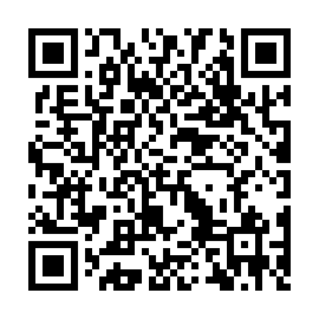 QR code for IPJ161