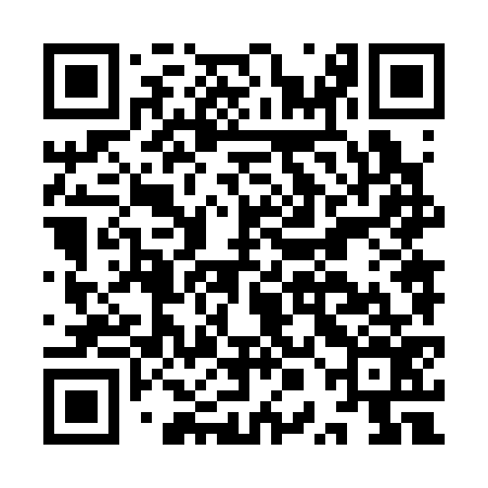 QR code for IPN376