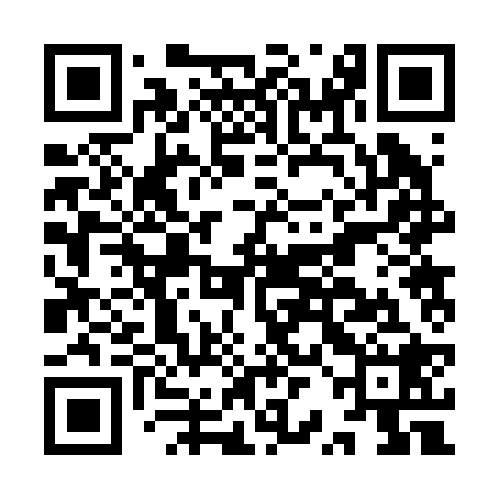 QR code for IRB228