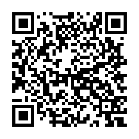 QR code for IRE133