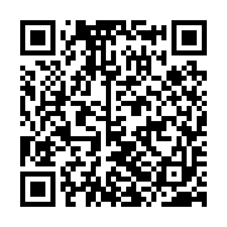 QR code for IRG293