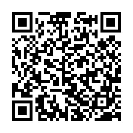 QR code for IRL462