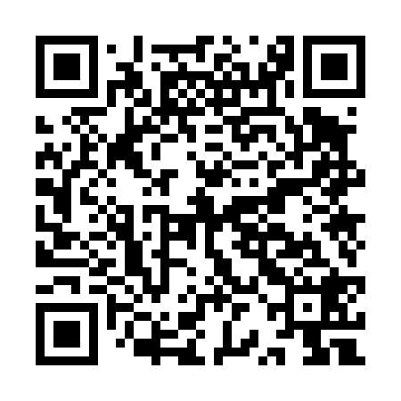 QR code for IRO428