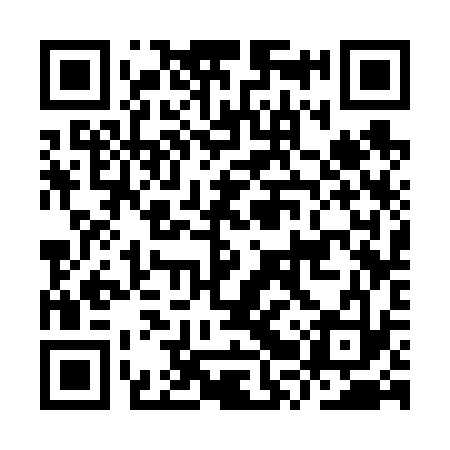 QR code for IRS633