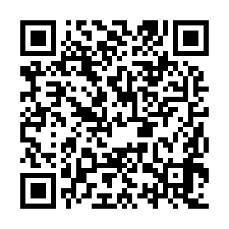 QR code for ISR999