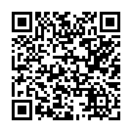 QR code for ISV295