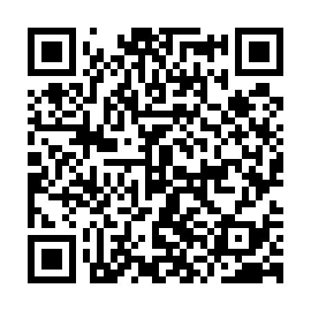 QR code for IVO539