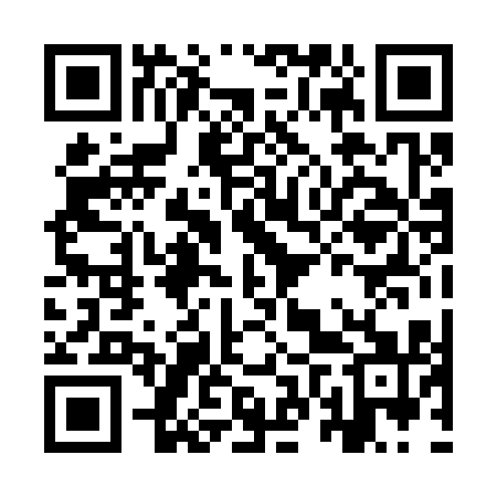 QR code for IVP311