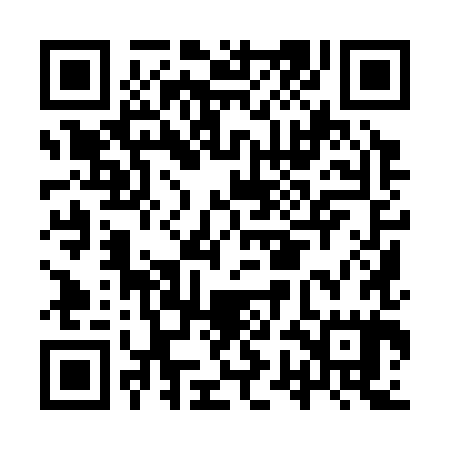 QR code for IWI385