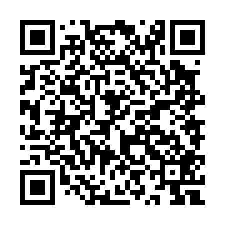 QR code for IYN009