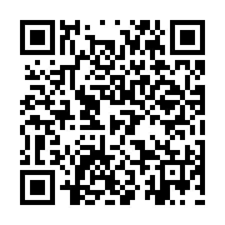 QR code for IZD295