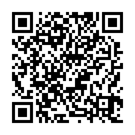 QR code for IZH223