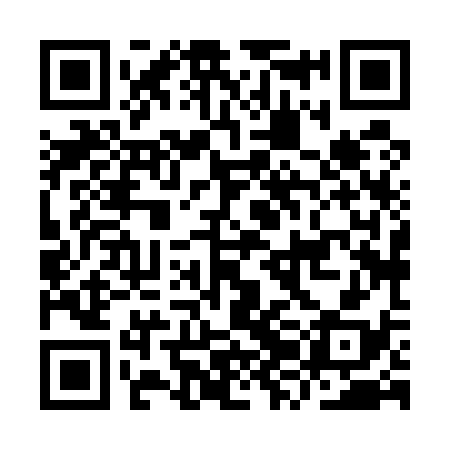 QR code for IZH538
