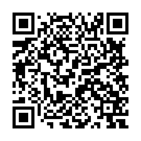 QR code for IZR863