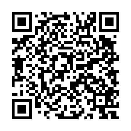 QR code for IZT409