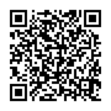 QR code for IZV387