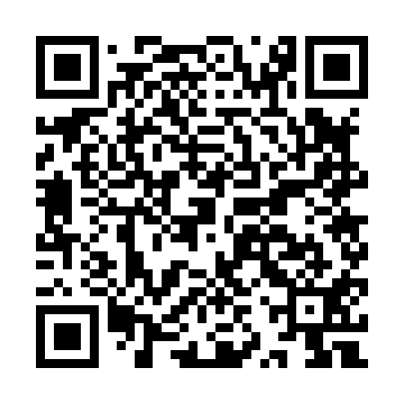 QR code for IZW811