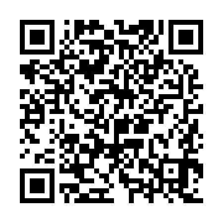 QR code for IZZ991