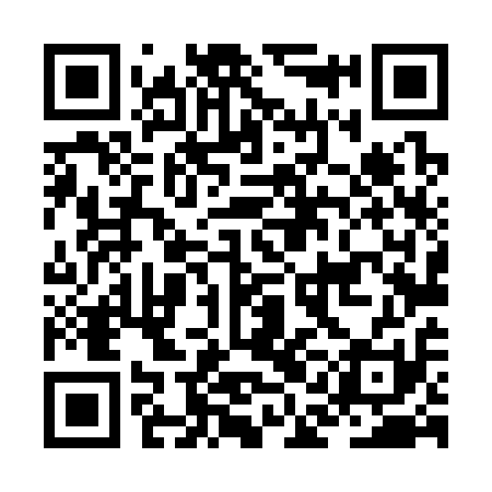 QR code for JAL311