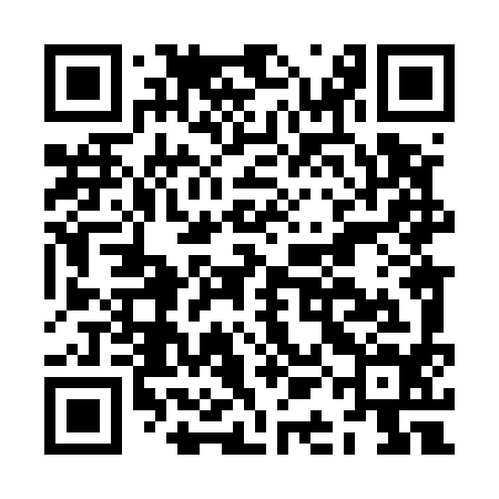QR code for JAL594