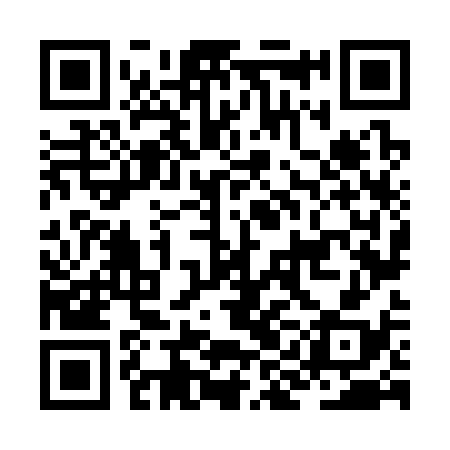 QR code for JIN338