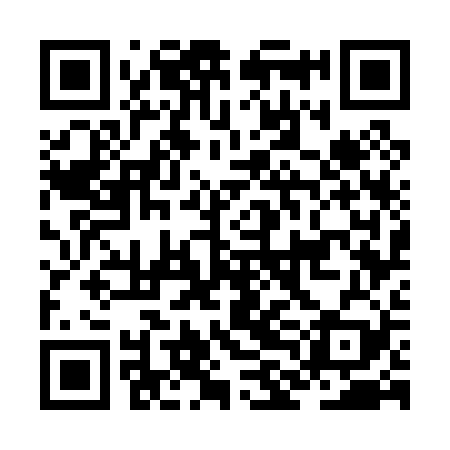 QR code for JLG029