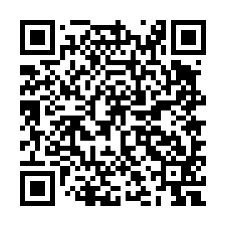 QR code for JLU493