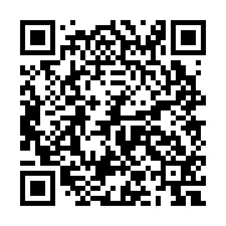 QR code for JMP313