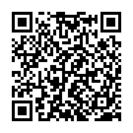 QR code for JNS377