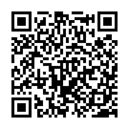 QR code for JVF541