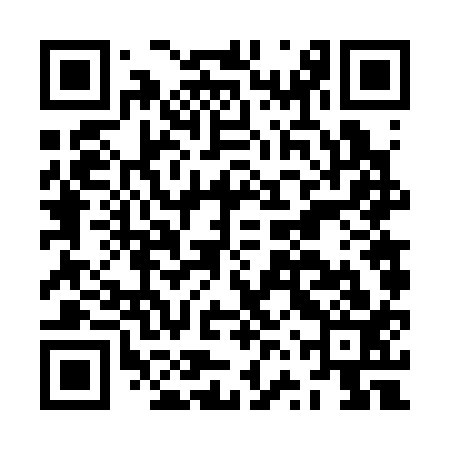 QR code for JVV313