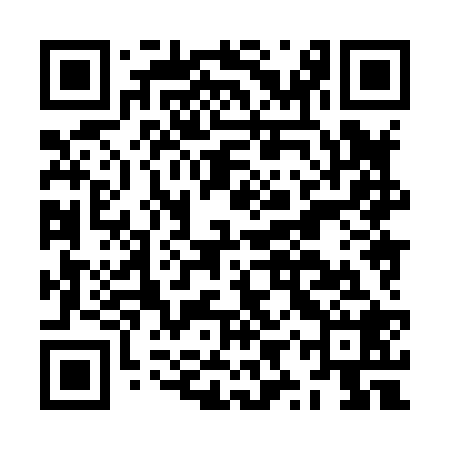 QR code for JYX828