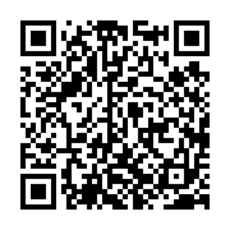 QR code for JZP613