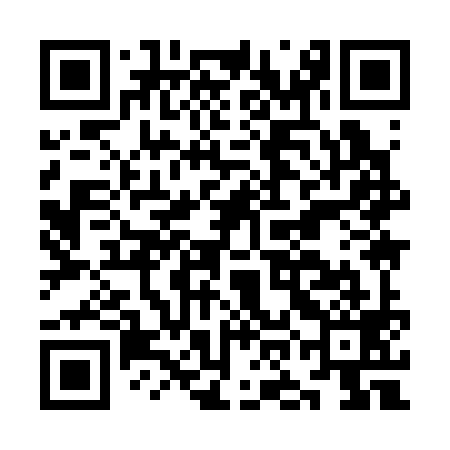 QR code for KOI399
