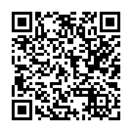 QR code for LAN991