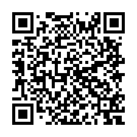 QR code for LAY511