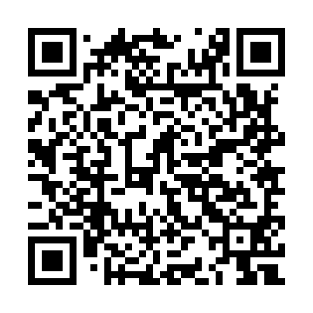 QR code for LBJ990