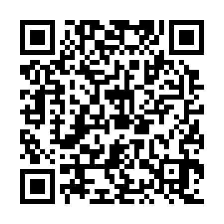 QR code for LCV333