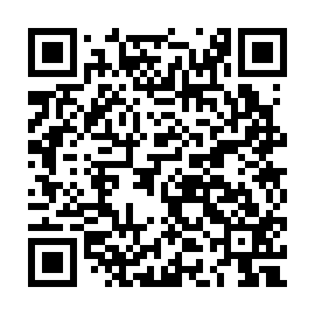 QR code for LDC313