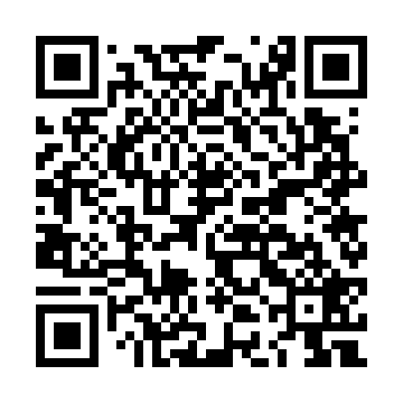 QR code for LDG729