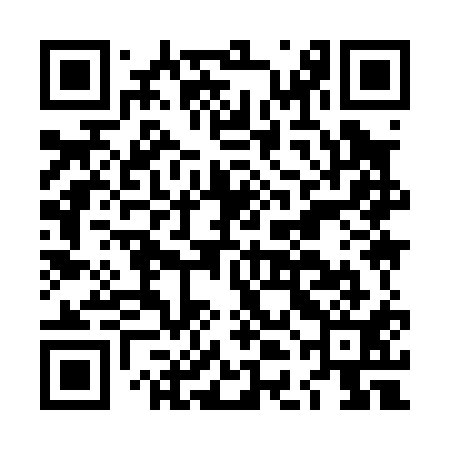 QR code for LDI011