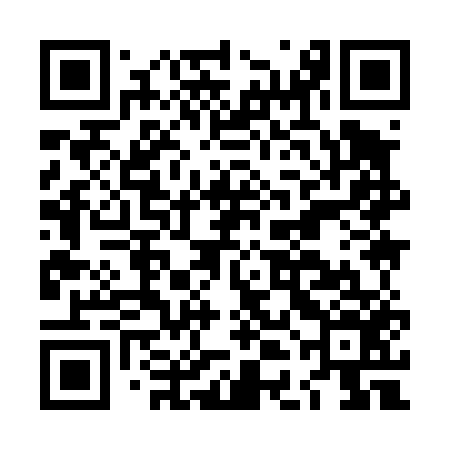 QR code for LDI456