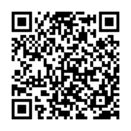 QR code for LDQ294